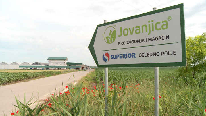 “Jovanjica” drug network trial: Alleged links to Serbia’s leadership, BIA still withholds classified information
